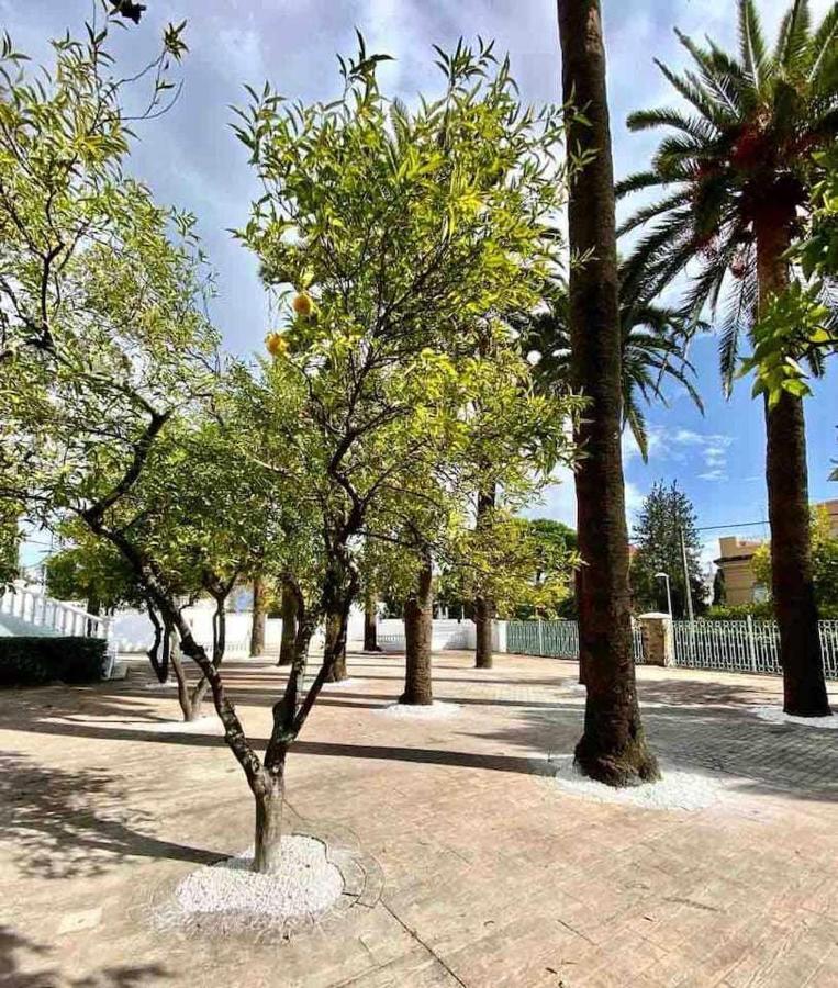 Nuevo Los Almendros 204 Complejo Turistico Apartment Cordoba Exterior photo