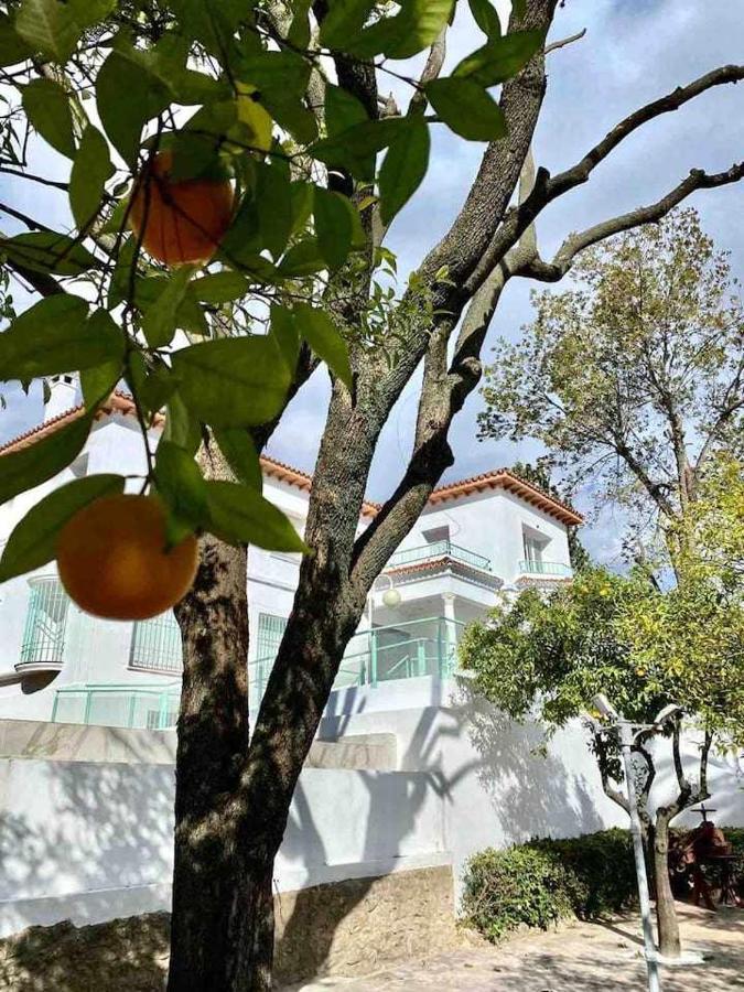 Nuevo Los Almendros 204 Complejo Turistico Apartment Cordoba Exterior photo